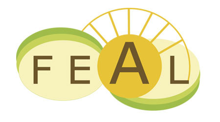 Proyecto Feal
