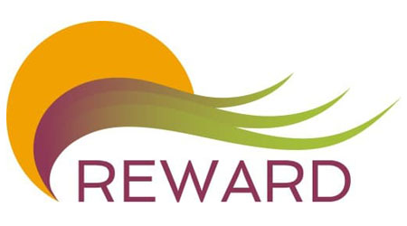 Proyecto Reward
