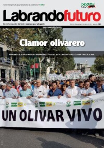 Labrando un Futuro N.º 45
